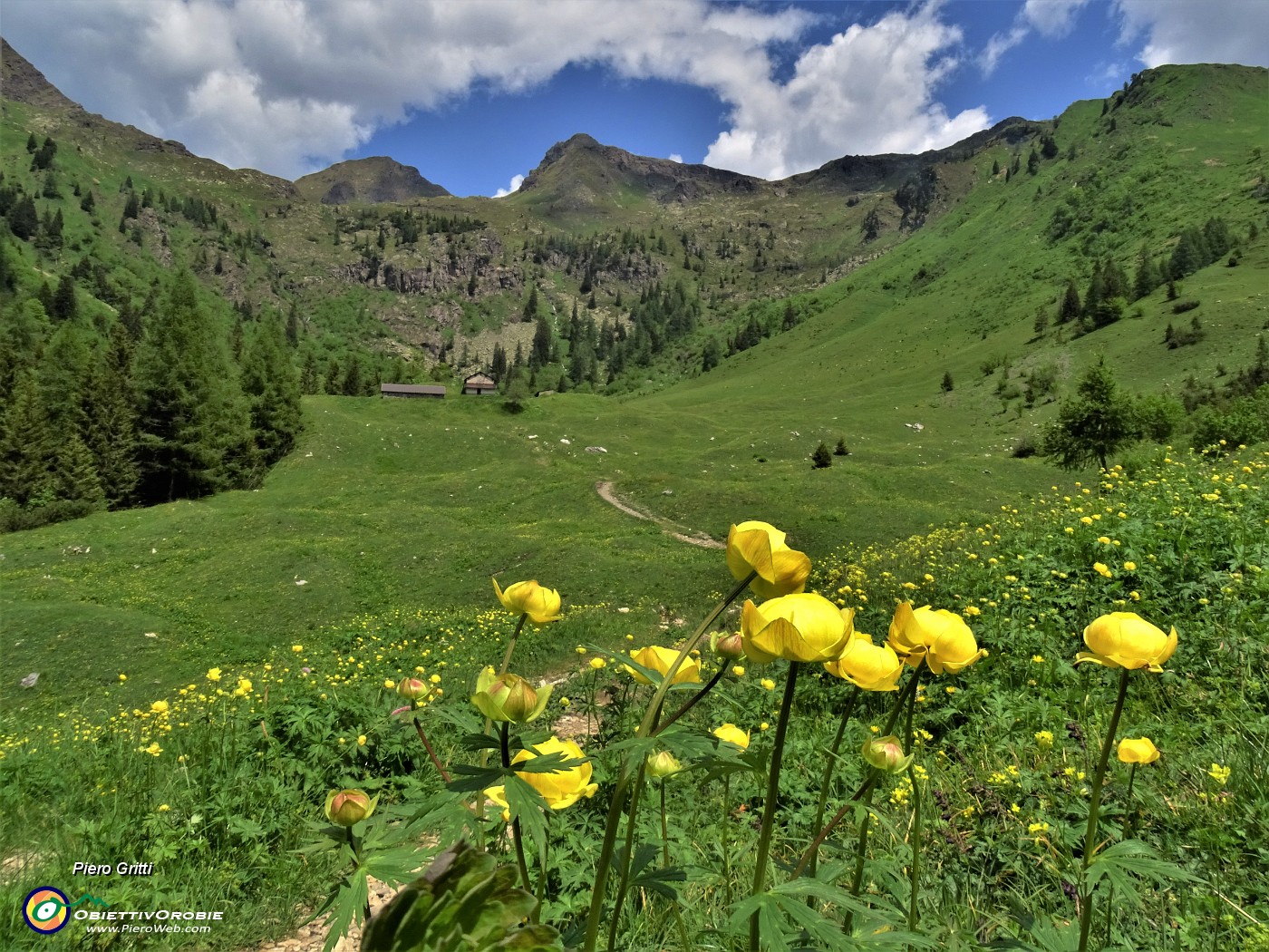 64 Rientro alla Casera Mezzeno (1598 m).JPG